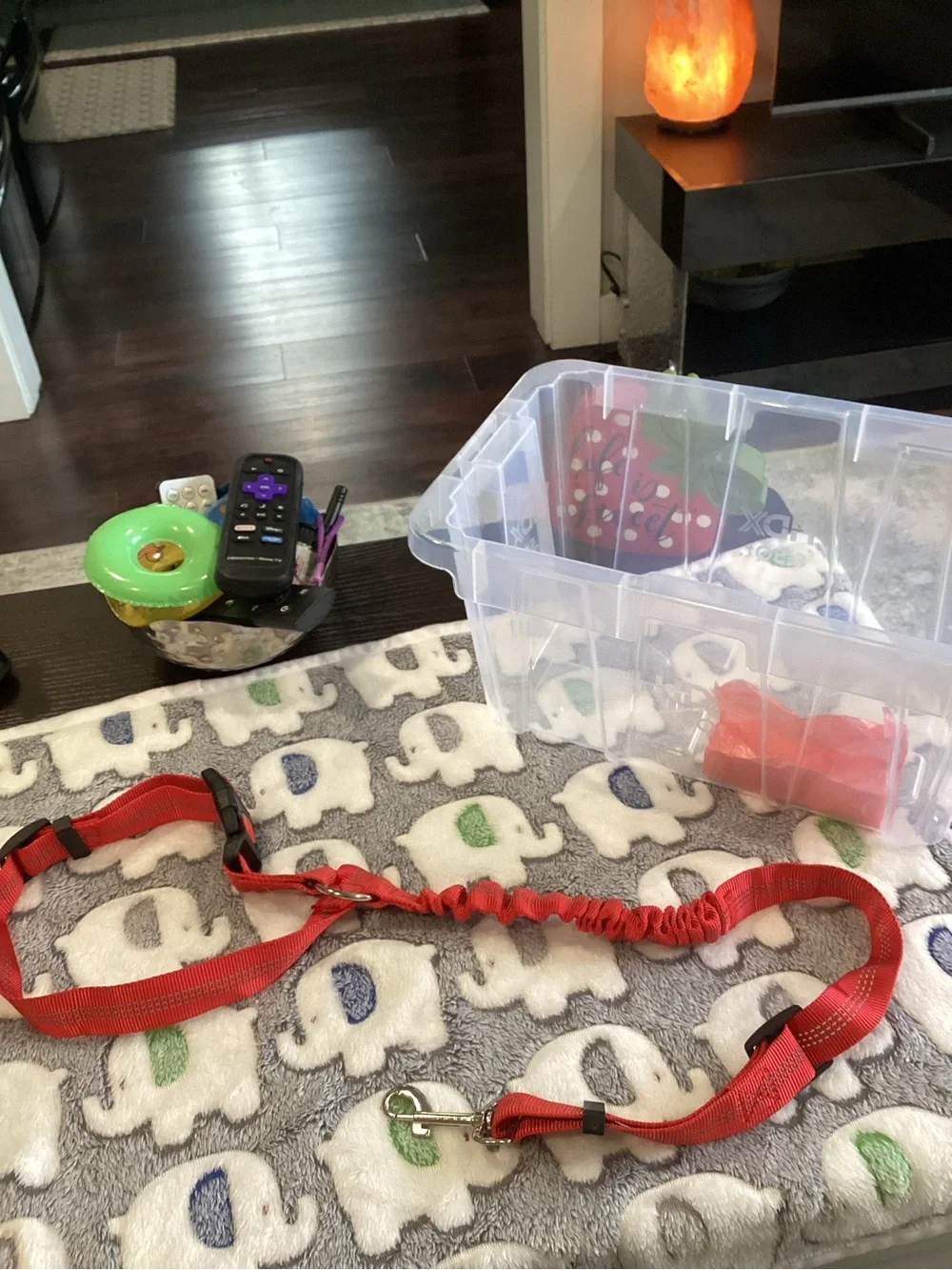 NWOT - Red Dog Leash and Accessory Set - Puppy Kit - BRAND NEW!!!!!!!!!